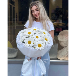 Ромашковое поле 