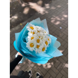 Ромашки 15 шт 